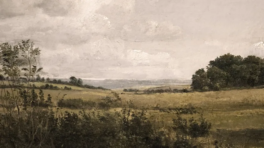 A View Across the Fields