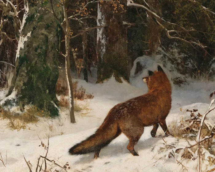 Fox in Snow