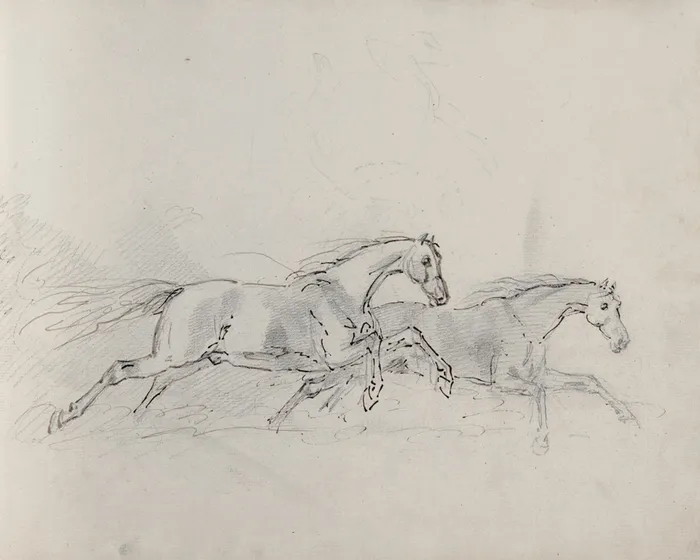 Galloping Horses Sketch