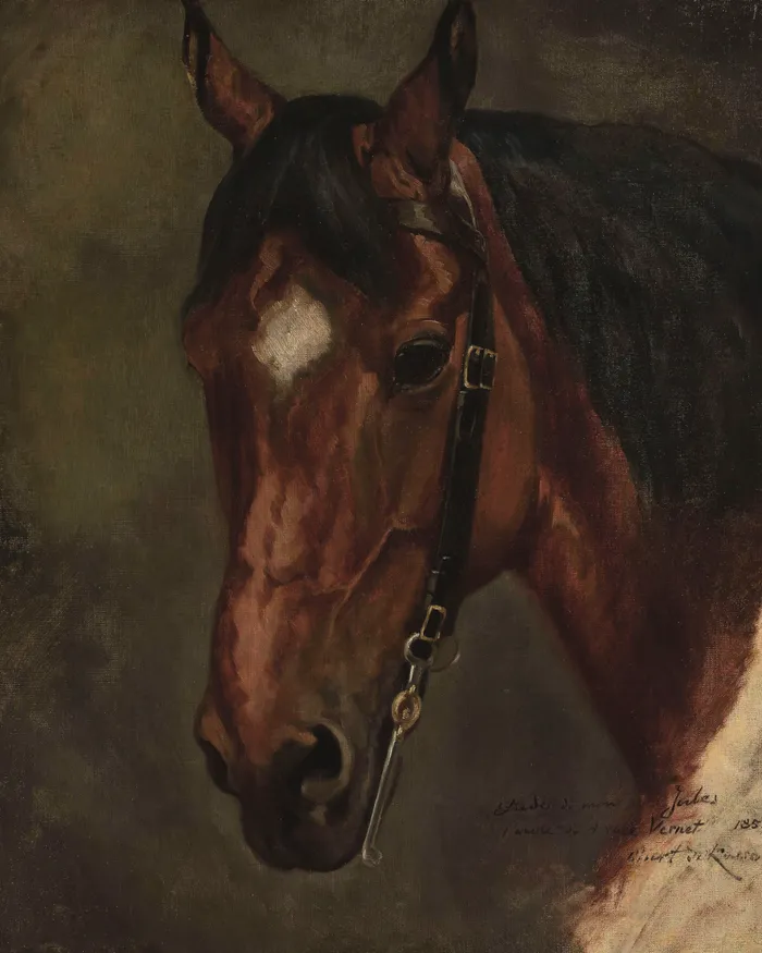 Horse Portrait