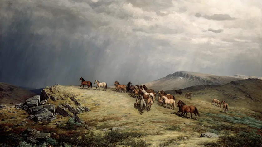 Horses in the Mountains