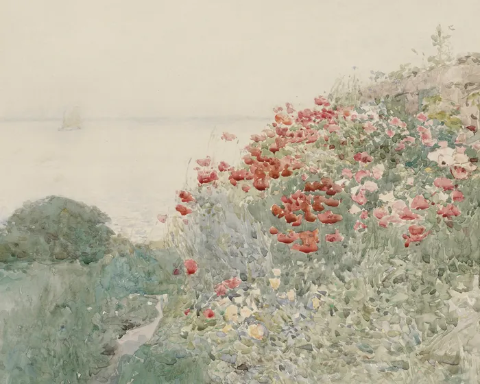 Poppies by the Sea