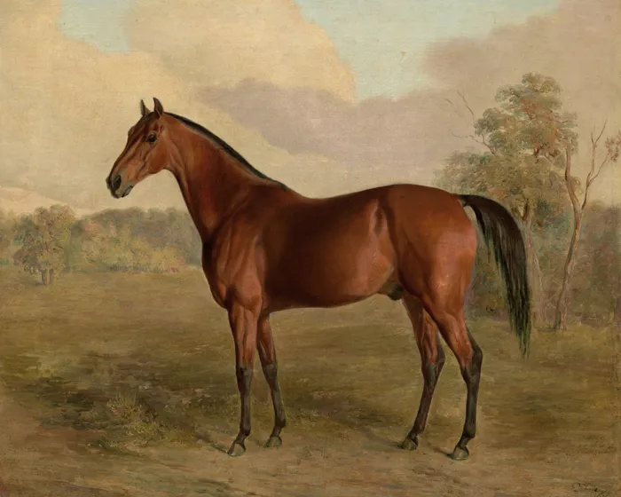 The Bay Horse