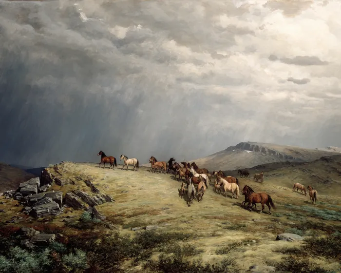 Wild Mountain Horses