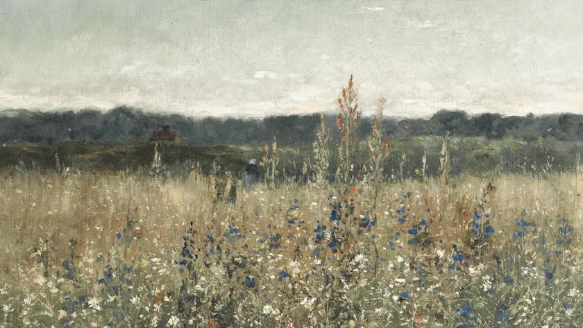 Wildflower Field